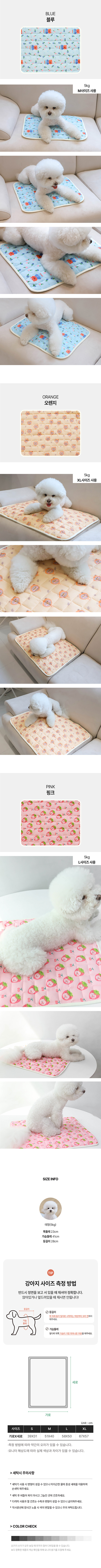 방석02(대백).jpg